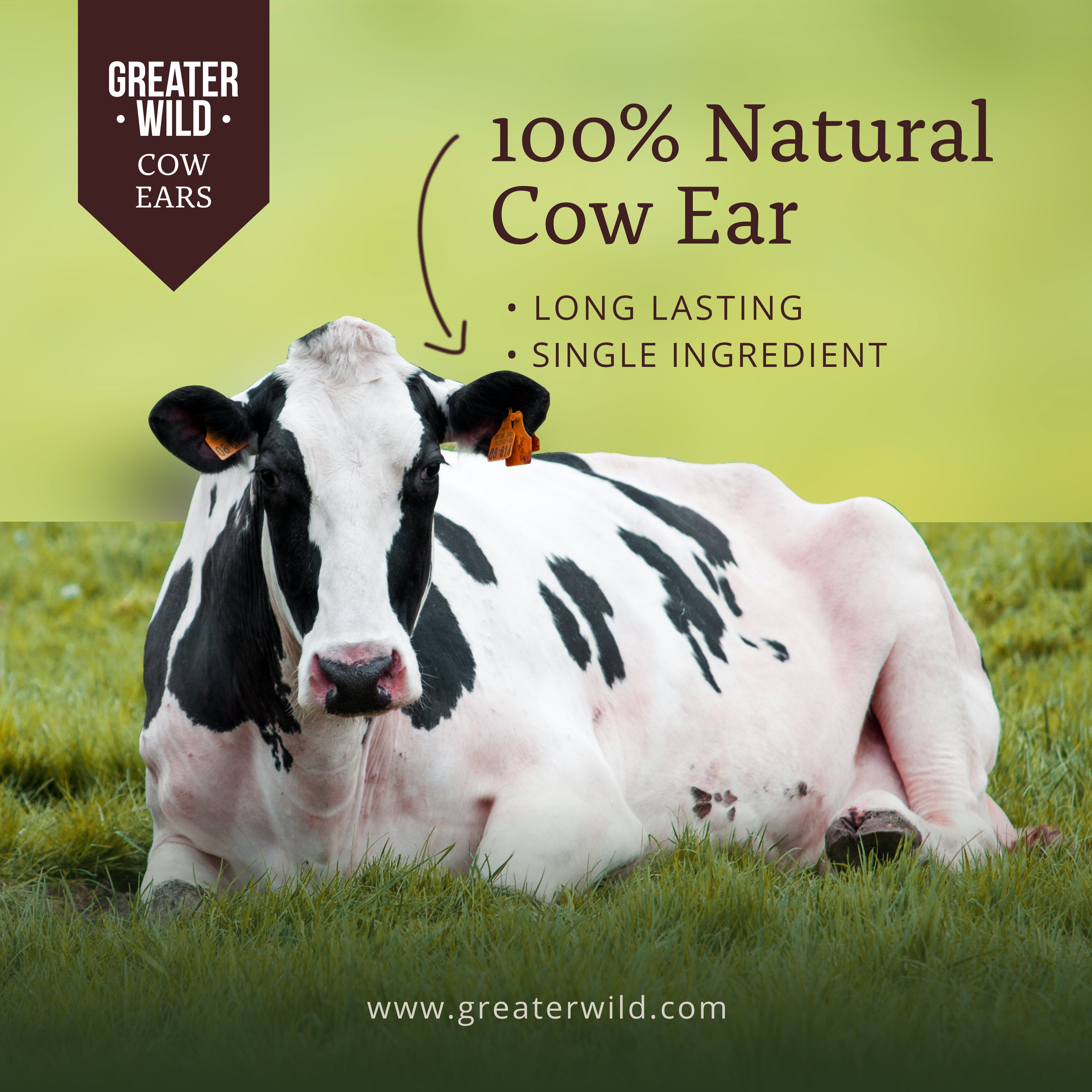 Cow shops ears